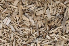 biomass boilers Arbuthnott